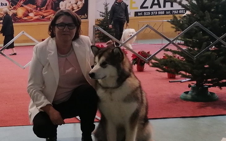 Zbiórka Proszę ratujcie moją mamę - zdjęcie główne