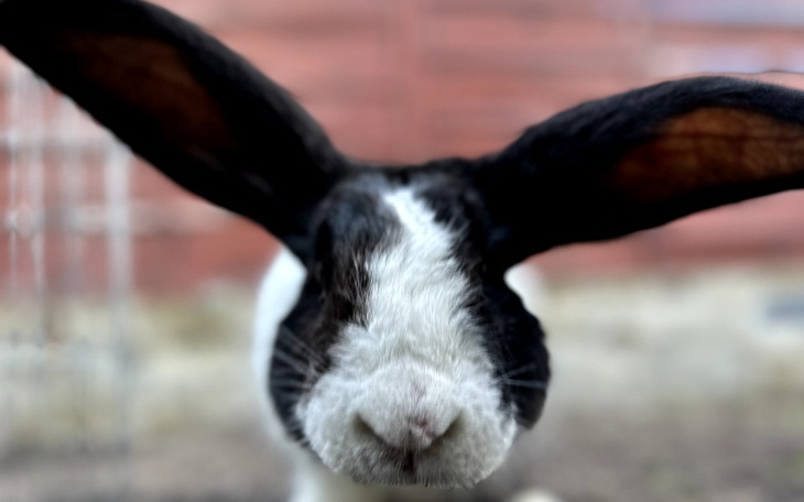 Zbiórka Na klimatyzację i grzejniki - zdjęcie główne