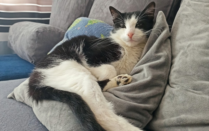 Zbiórka Na leczenie Leonka - zdjęcie główne