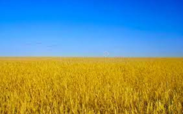 Zbiórka Polska na pomoc Ukrainie - zdjęcie główne