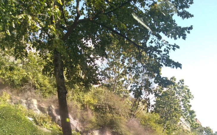 Zbiórka Potrzebuję na dojazdy na leczeni - zdjęcie główne