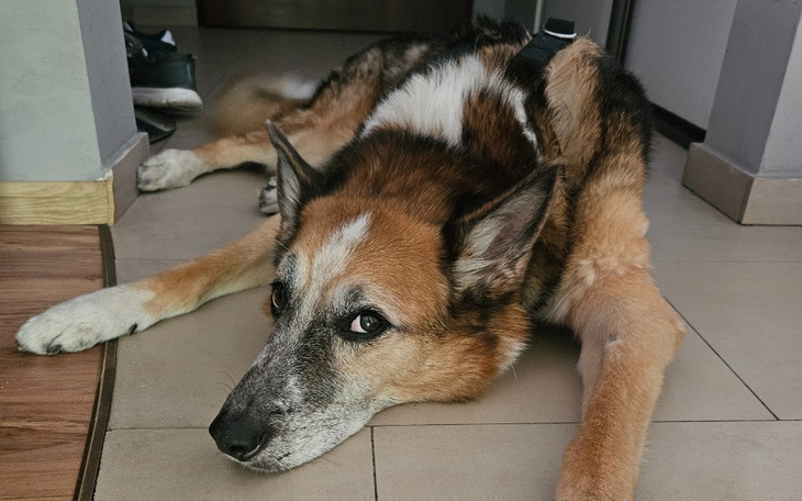 Zbiórka Pomóż mi wygrać z E.coli - zdjęcie główne