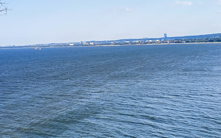 Zbiórka Doe - zdjęcie główne