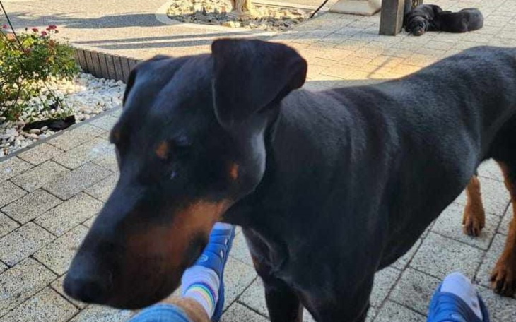 Zbiórka Szansa dla Axela - zdjęcie główne