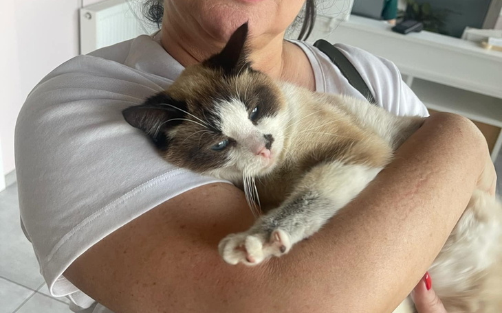 Kot trzymany na rękach przez kobietę.