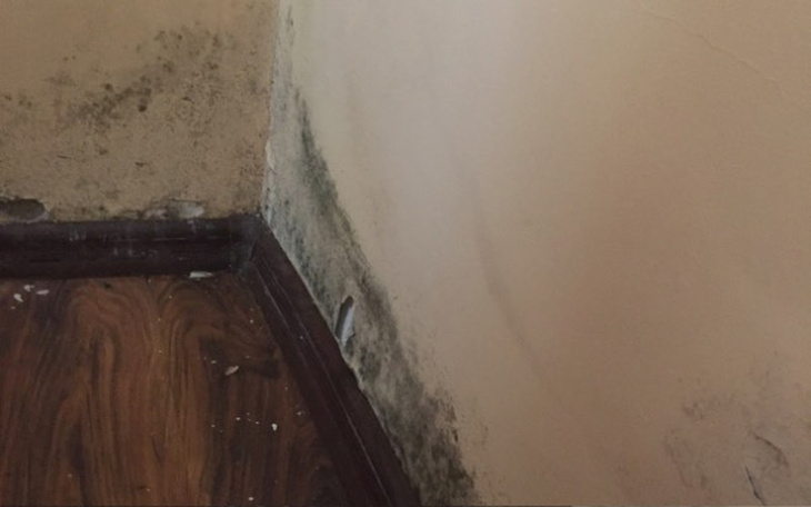 Zbiórka Na remont domu rodziców! - zdjęcie główne