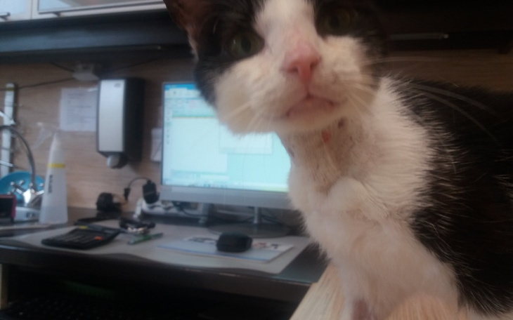 Zbiórka Aqua-paliwo - zdjęcie główne