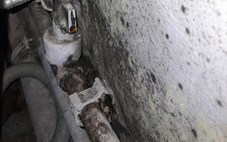 Zbiórka Dla dobra dzieci usunięcie pleśń - zdjęcie główne