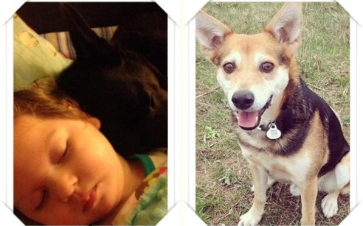 Zbiórka By ocalić nadzieję Moniki - zdjęcie główne