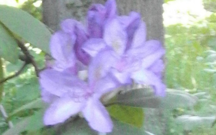 Zbiórka Móc Godnie ŻYĆ - zdjęcie główne