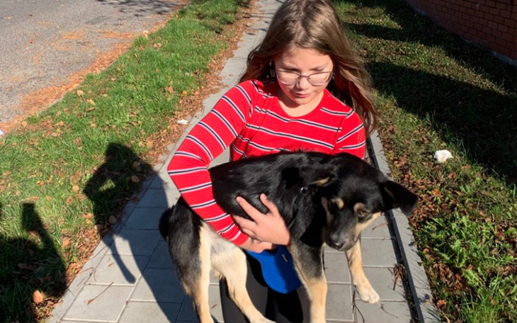 Zbiórka Operacja mojego pieska Akselka - zdjęcie główne