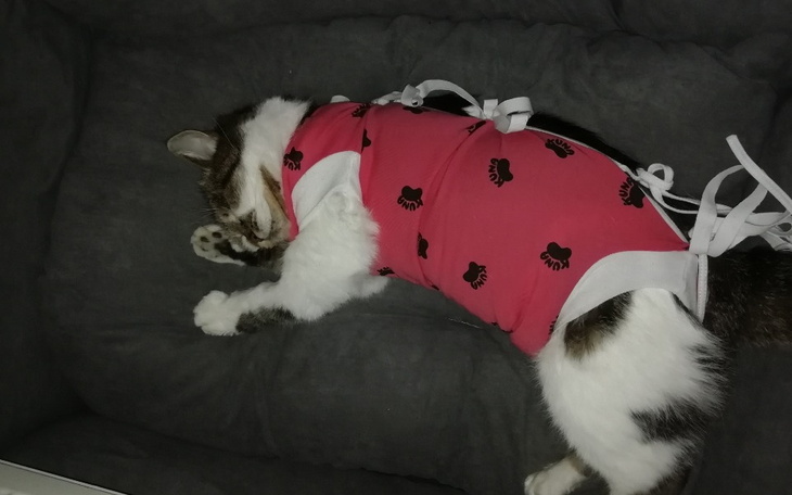 Zbiórka Na walkę z gruczolakorakiem - zdjęcie główne