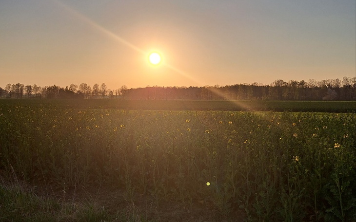Zbiórka Na spłatę spirali długów. - zdjęcie główne