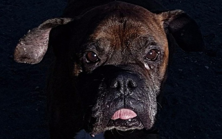 Zbiórka Zdążyć przed śmiercią :( - zdjęcie główne