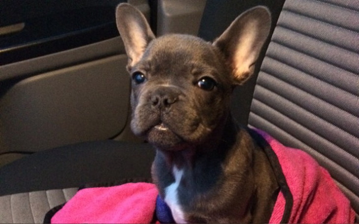 Zbiórka Mały Wielki Pablo - zdjęcie główne