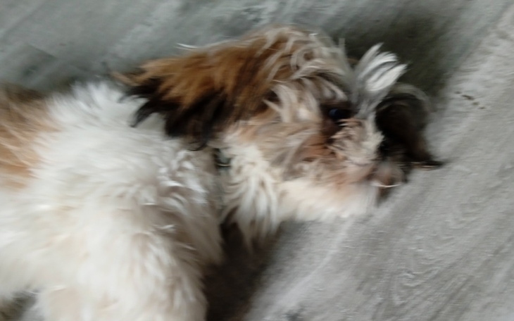 Zbiórka dla mojej bajki - zdjęcie główne