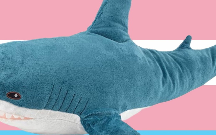 Zbiórka na hrt i ogułem - zdjęcie główne