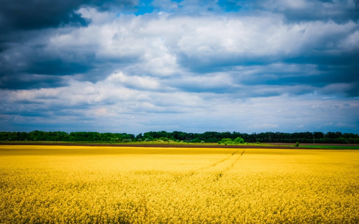 Zbiórka Pomoc medyczna Ukrainie - zdjęcie główne