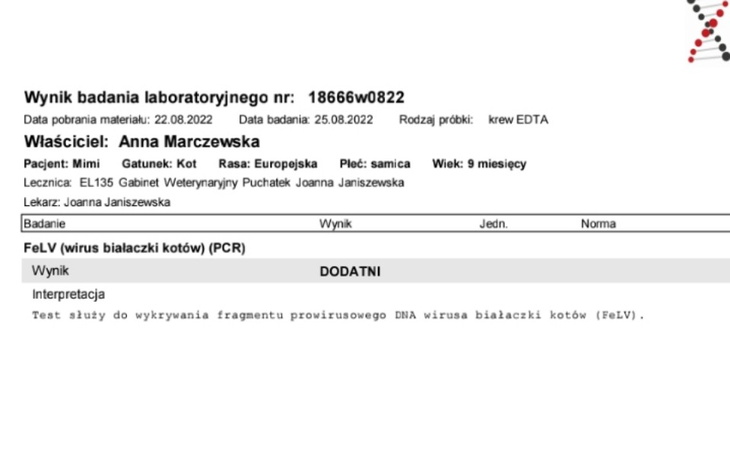 Wynik badania laboratoryjnego dotyczącego wirusa białaczkowego kotów.