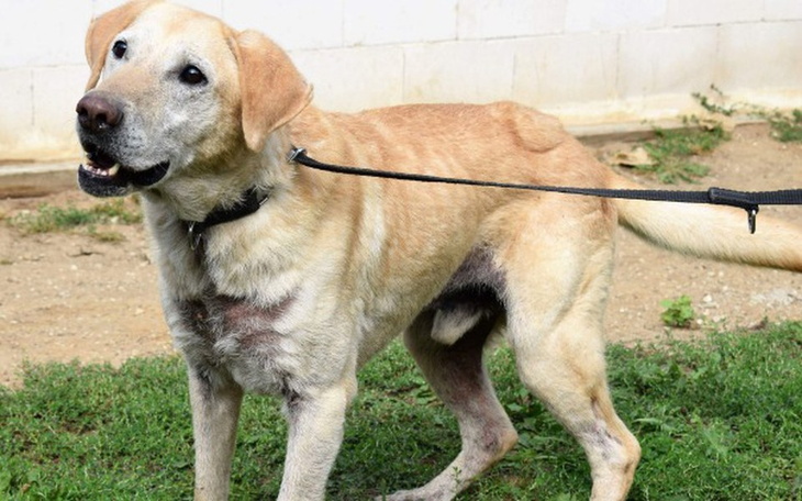 Zbiórka Pazur- więzień swojego ciała - zdjęcie główne