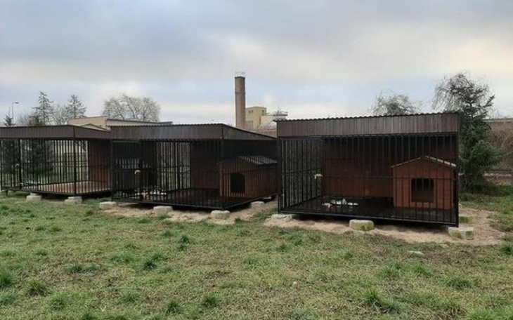 Zbiórka Na broszury Fundacji - zdjęcie główne