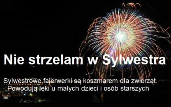 Zbiórka Mieszkanie zamiast fajerwerków - zdjęcie główne
