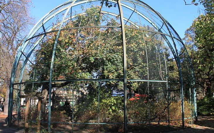 Zbiórka Woliera dla ptakow - zdjęcie główne