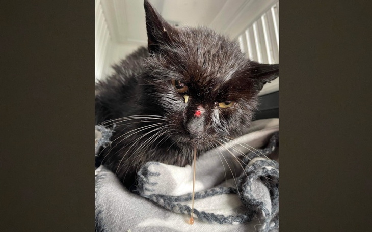 Zbiórka 7 dni zamknięty w samochodzie - zdjęcie główne