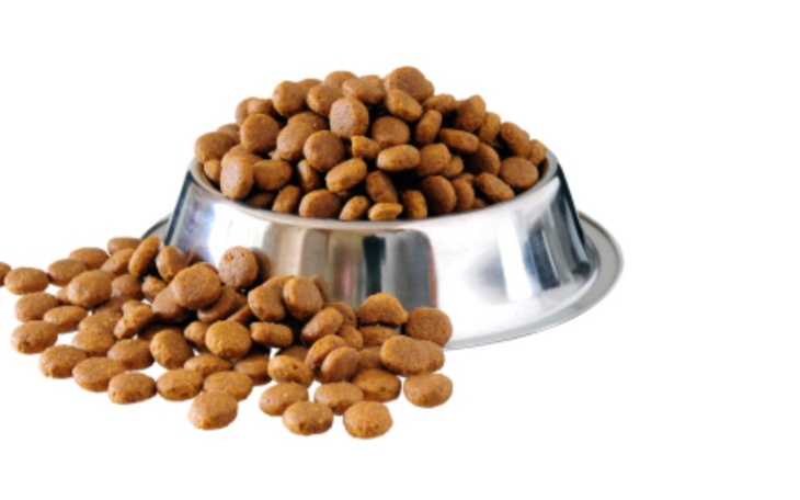 Zbiórka Troszkę na ząb - zdjęcie główne