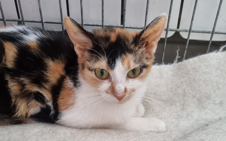 Zbiórka Grzechem jest nie dać szansy... - zdjęcie główne