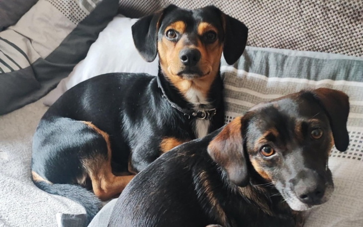 Zbiórka Wystrzał dla Młodolino - zdjęcie główne