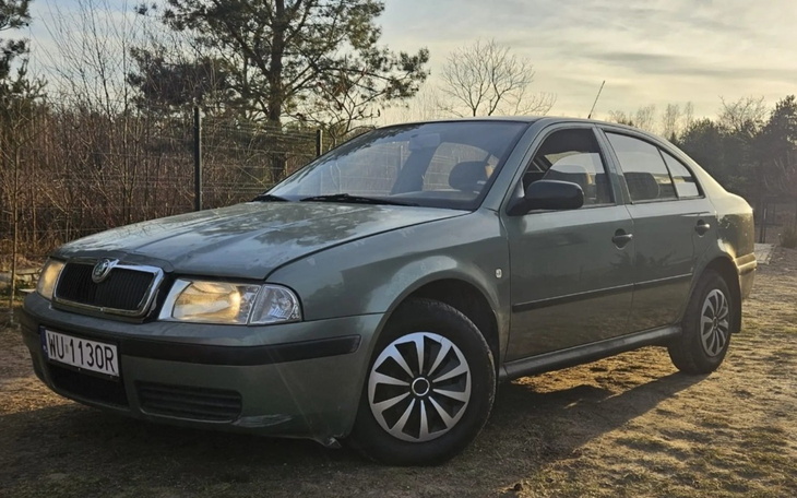 Zielony samochód zaparkowany w naturalnym otoczeniu.