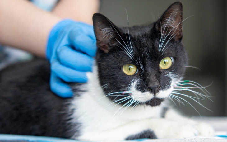 Zbiórka Mruczarnia, czerwiec 2023 - zdjęcie główne