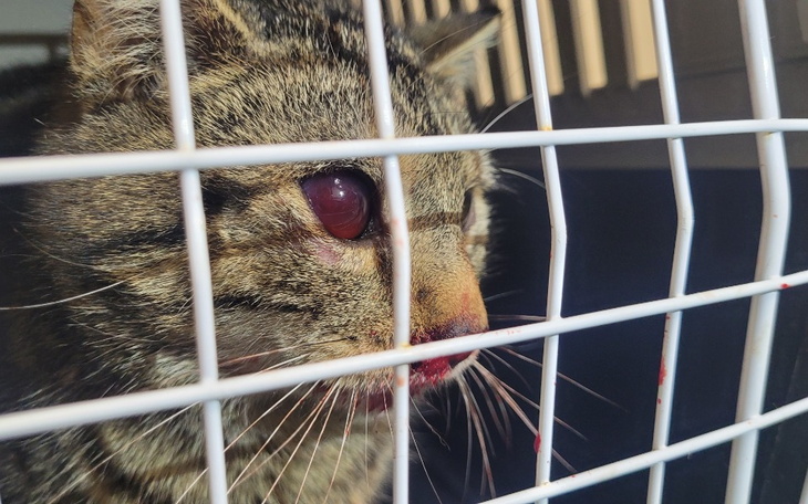 Zbiórka Wiosna, wiosna, ach to ty - zdjęcie główne