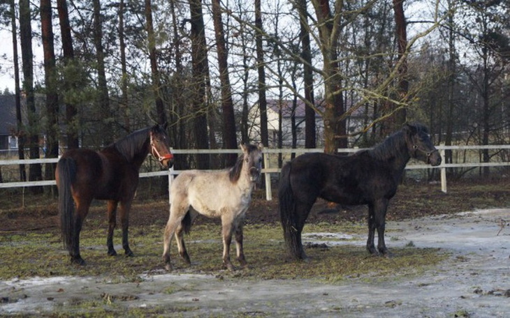 Zbiórka Skarbonka na rozpieszczanie ♡ - zdjęcie główne