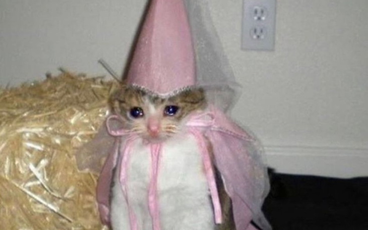 Zbiórka Zbiórka na mój pierwszy binder - zdjęcie główne