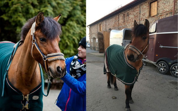 Zbiórka Pomoc w leczeniu Pascala - zdjęcie główne