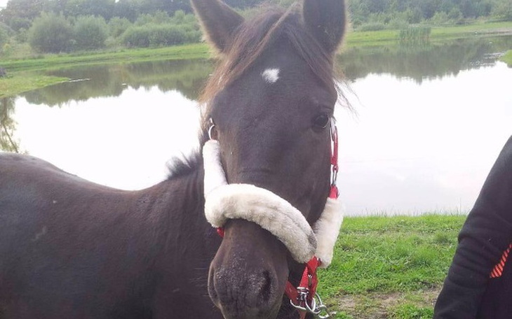 Zbiórka Spełnić marzenia.. - zdjęcie główne