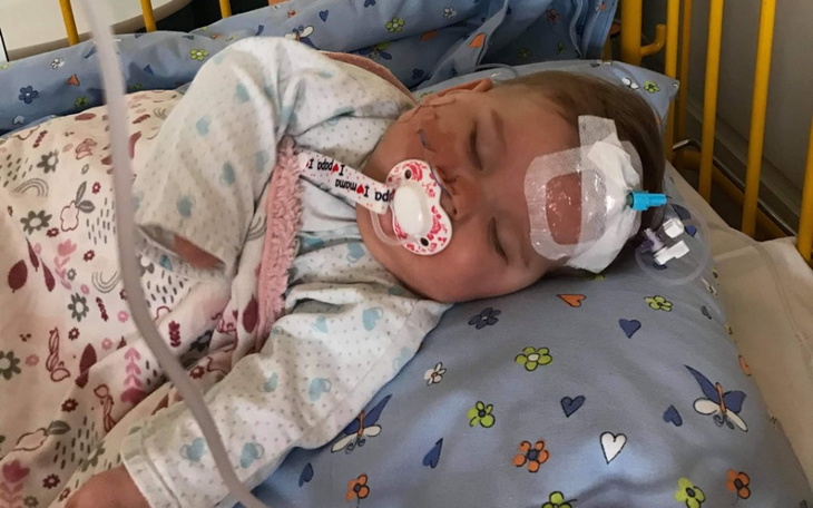 Zbiórka Diagnoza i leczenie ZUZINKI - zdjęcie główne