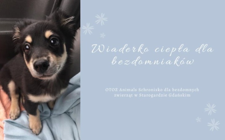 Zbiórka Wiaderko ciepła2 - zdjęcie główne