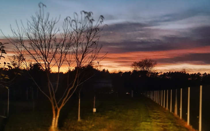 Zbiórka Chcemy spłacić ZUS, pracować - zdjęcie główne