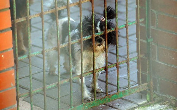 Zbiórka Fruzia w potrzebie - zdjęcie główne