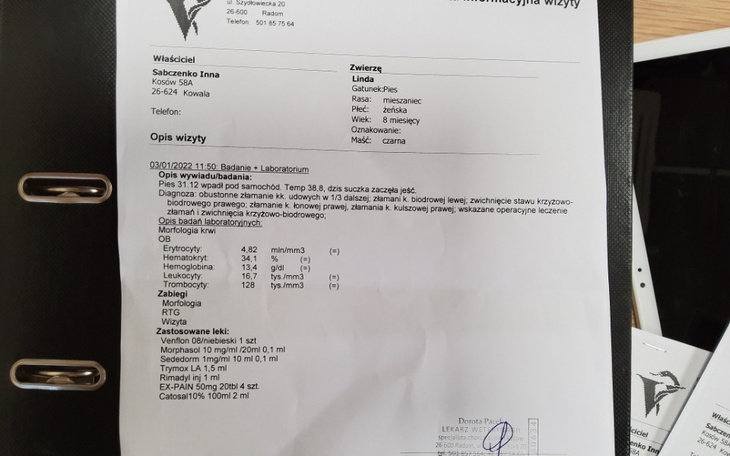 Zbiórka Zbirka na operacje dla Lindy - zdjęcie główne