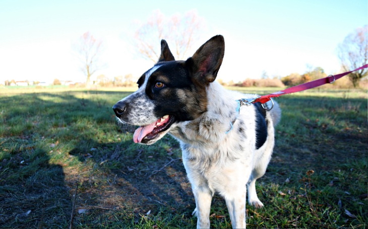 Zbiórka Nie puszczaj z dymem, nakarm nas - zdjęcie główne