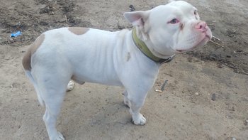 Zbiórka By stanąć na nogi, bez bólu... - miniaturka zdjęcia