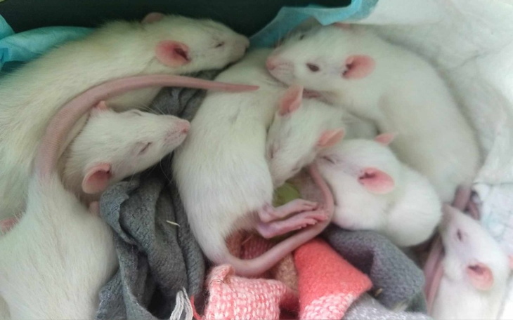 Zbiórka Faktury styczeń-maj - zdjęcie główne