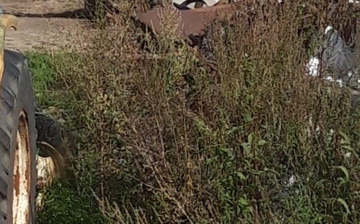 Zbiórka Zbieram na nowy ciagnik - zdjęcie główne