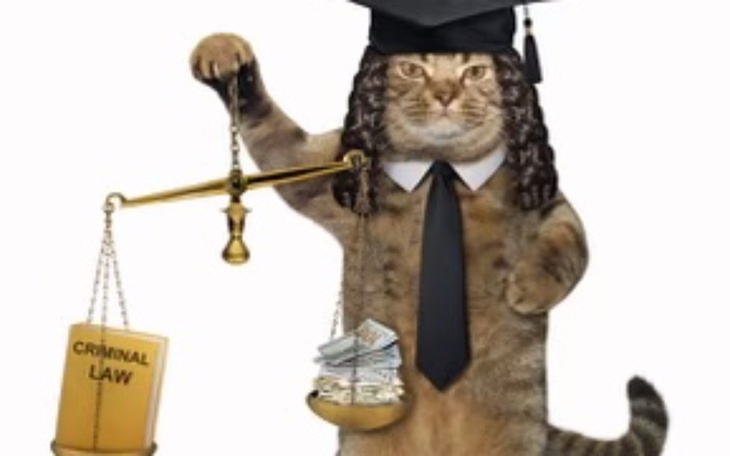 Zbiórka Adwokat pomoc - zdjęcie główne