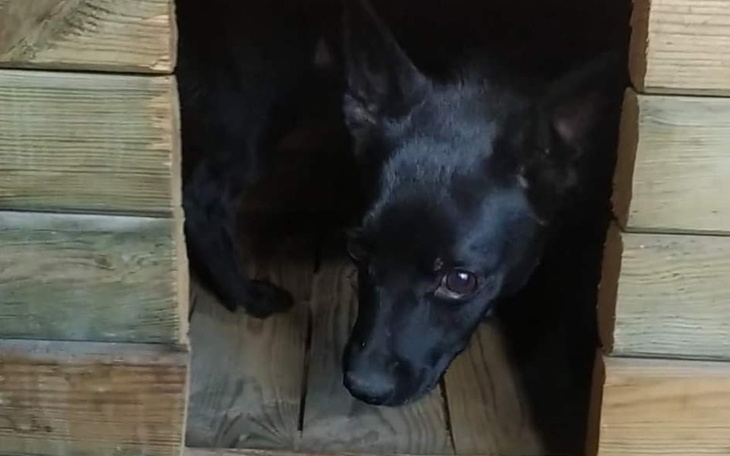 Zbiórka Nadzieja na godne życie malucha - zdjęcie główne