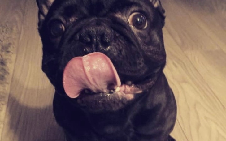 Zbiórka złapać oddech - WEEDY - zdjęcie główne